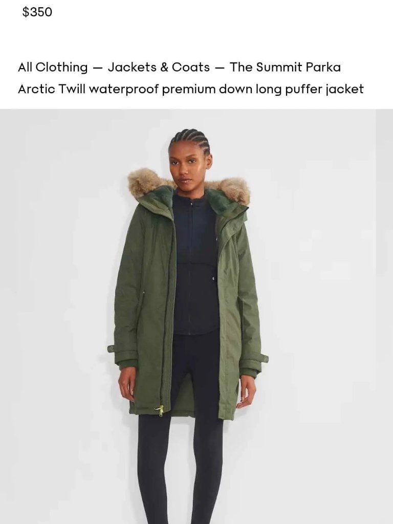 Aritzia The Summit Jacket